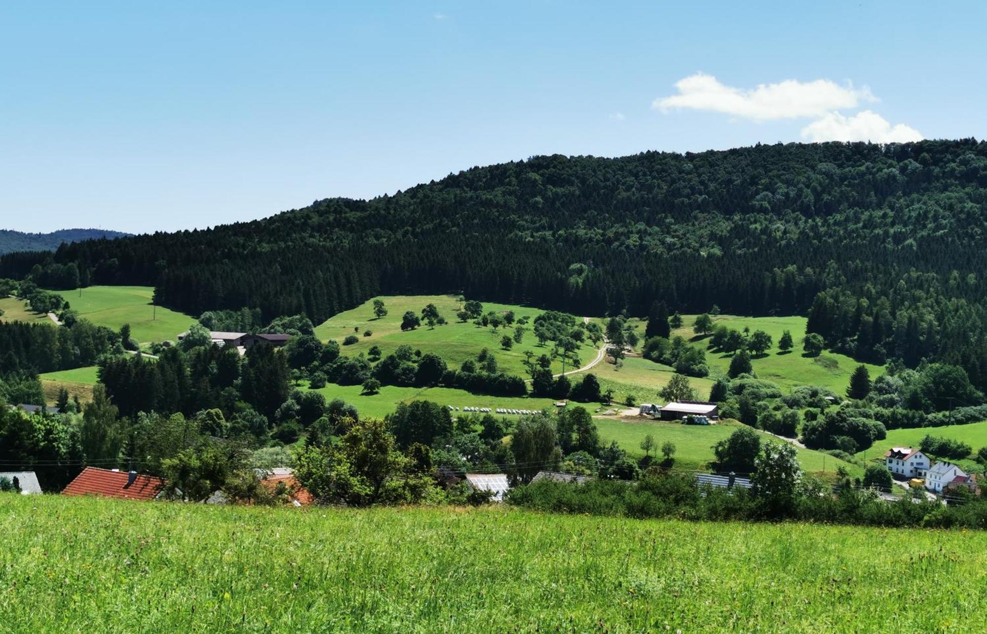 Ferienwohnung Blick Rappenstein Hausen am Tann ภายนอก รูปภาพ