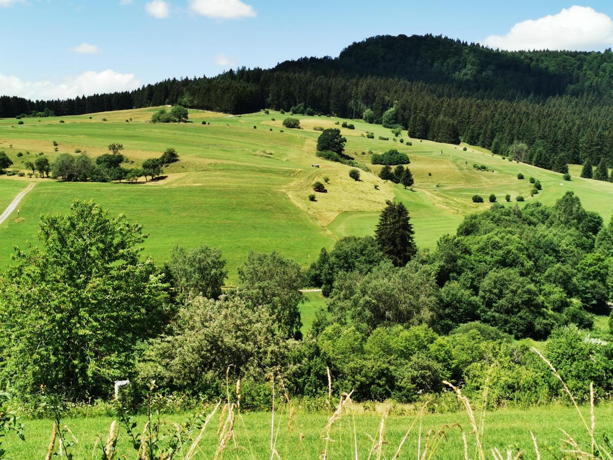 Ferienwohnung Blick Rappenstein Hausen am Tann ภายนอก รูปภาพ