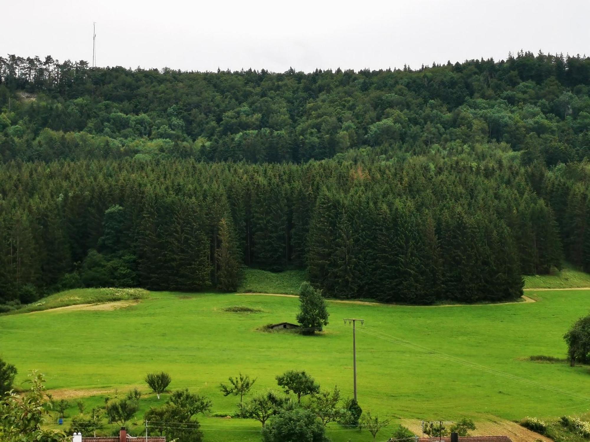 Ferienwohnung Blick Rappenstein Hausen am Tann ภายนอก รูปภาพ