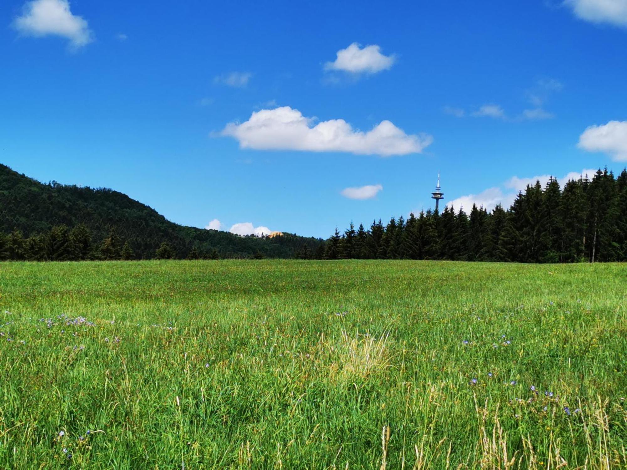Ferienwohnung Blick Rappenstein Hausen am Tann ภายนอก รูปภาพ