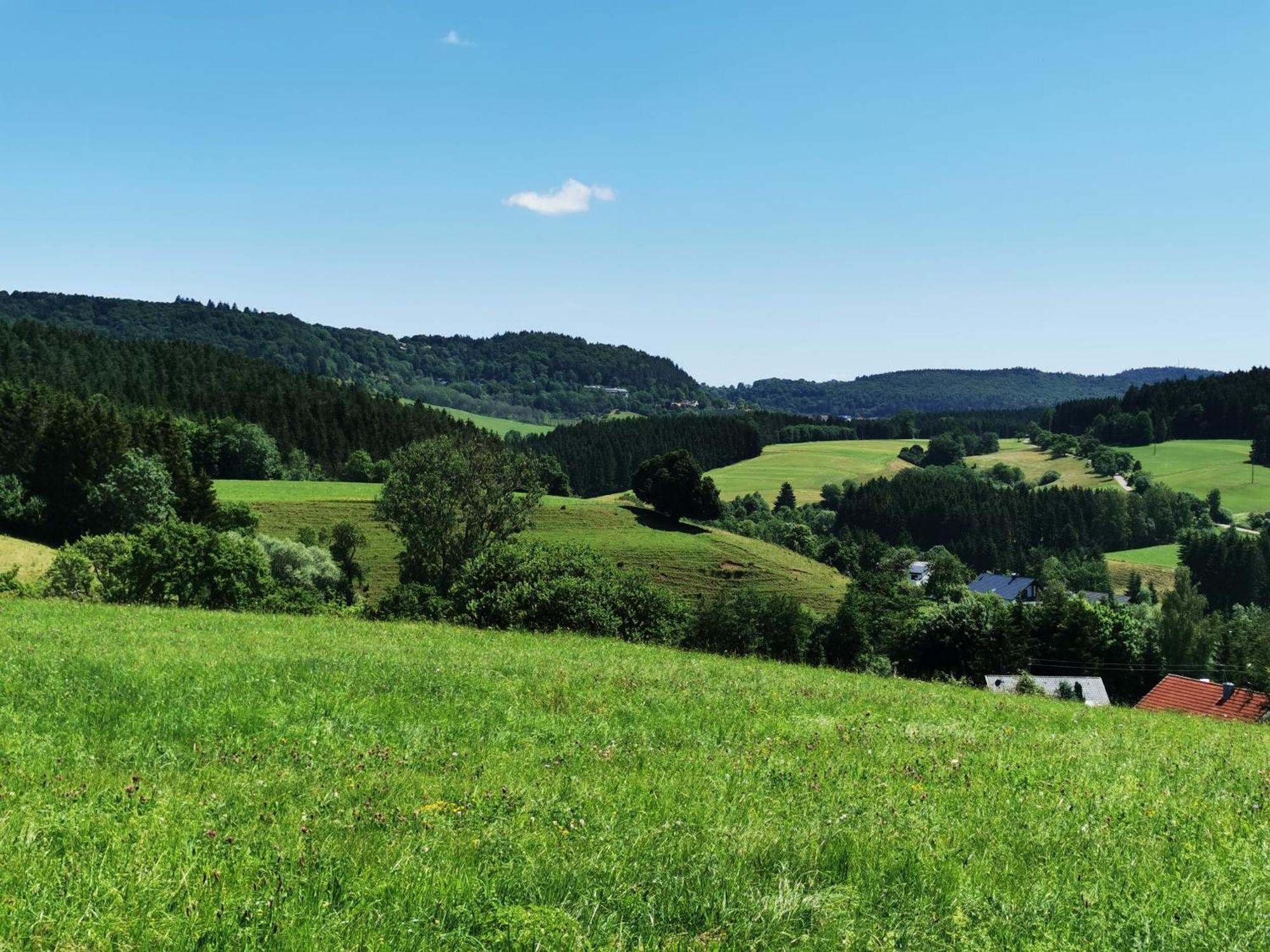 Ferienwohnung Blick Rappenstein Hausen am Tann ภายนอก รูปภาพ